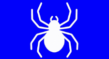 Pest Control Sydney