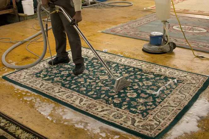 Carpet Cleaning