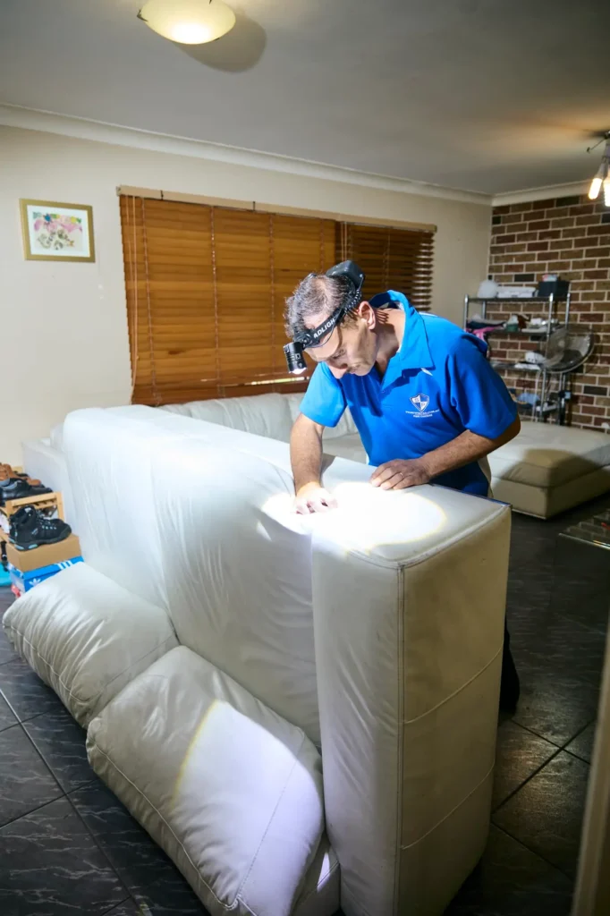 5 Star Pest Control Sydney