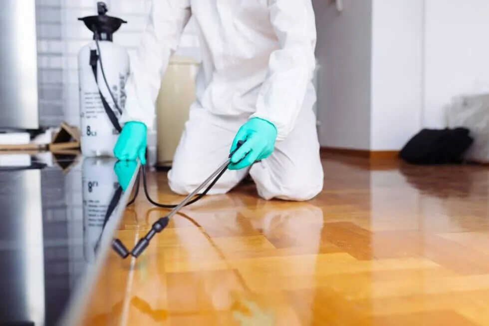 कीट नियंत्रण सिडनी Clean Home Fewer Pests