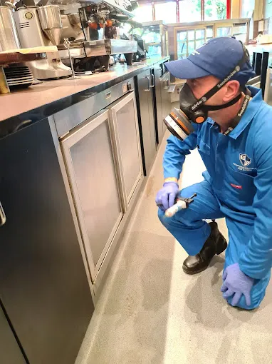 Technician applying gel bait under a cafe espresso machine
