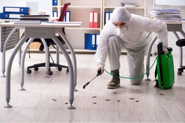 Commercial Pest Control Sydney