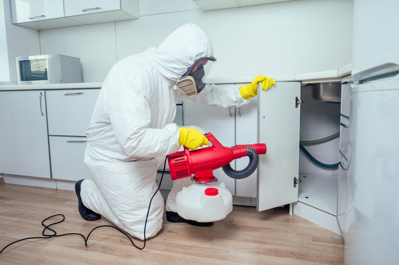 Pest Control Sydney