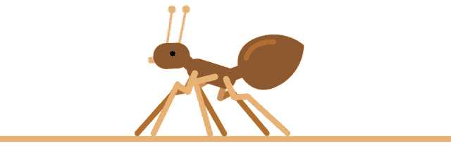 Pest Control Sydney