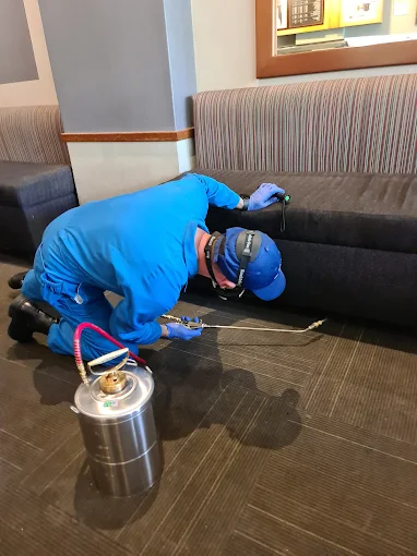 Cafe Pest Control Sydney