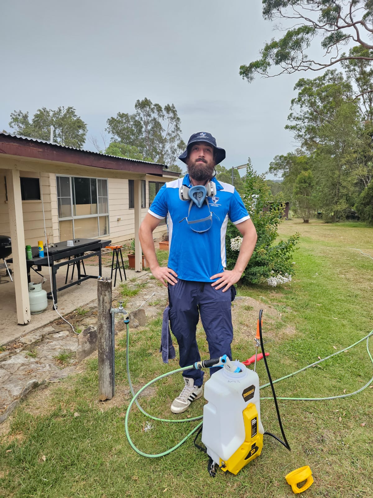 Spider control technician treating a Sydney home