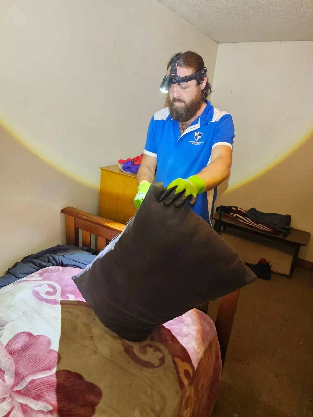 Bed bug control technician treating a Sydney bedroom