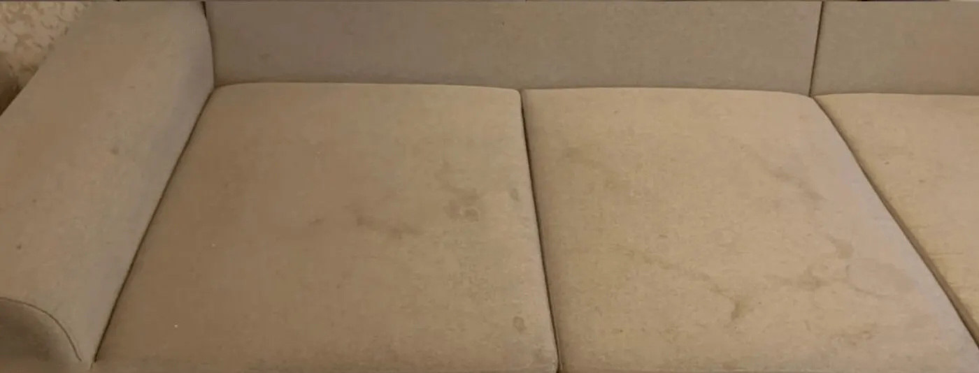 Carpet pile before and after steam cleaning — before