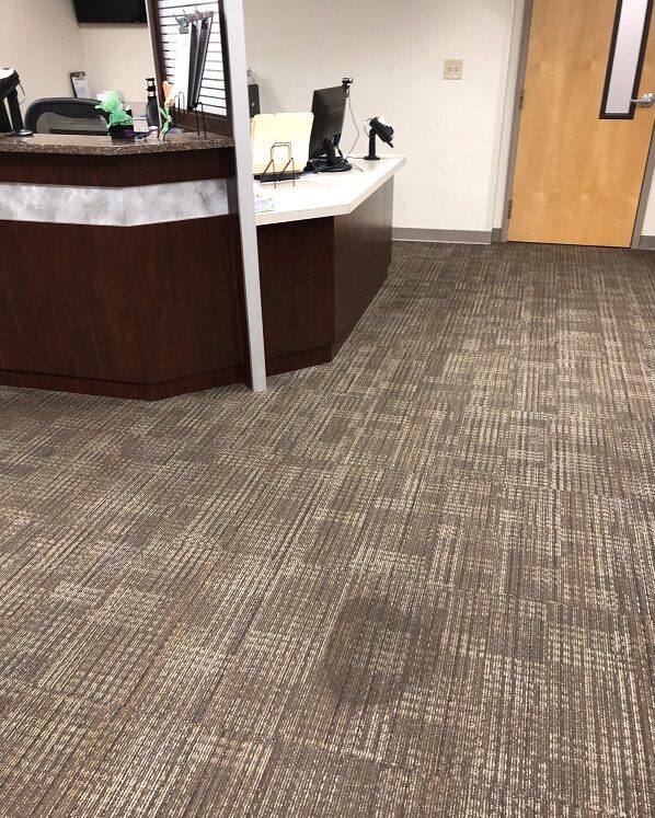 Carpet Cleaning