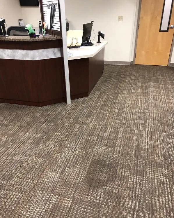 Office carpet before and after steam cleaning — before