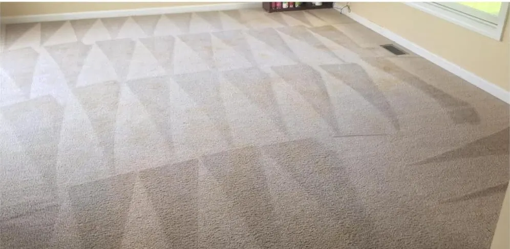 Carpet stain before and after steam cleaning — after