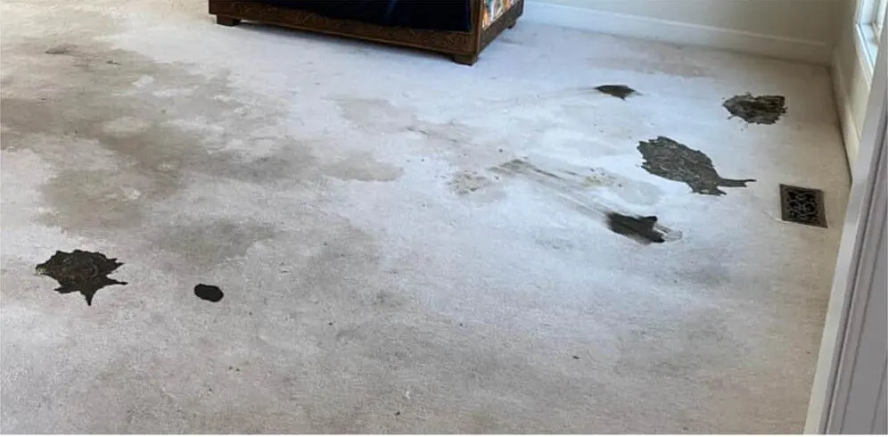 Hallway carpet before and after cleaning — before