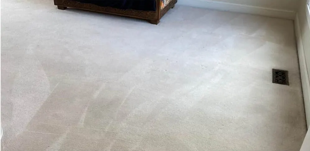 Hallway carpet before and after cleaning — after