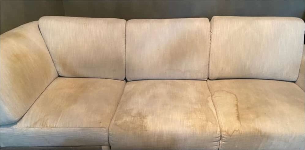 Carpet Cleaning