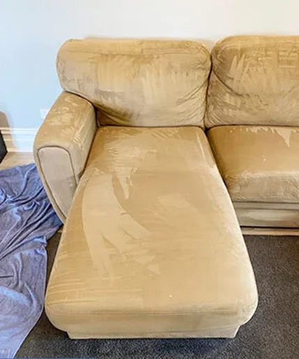 Carpet Cleaning