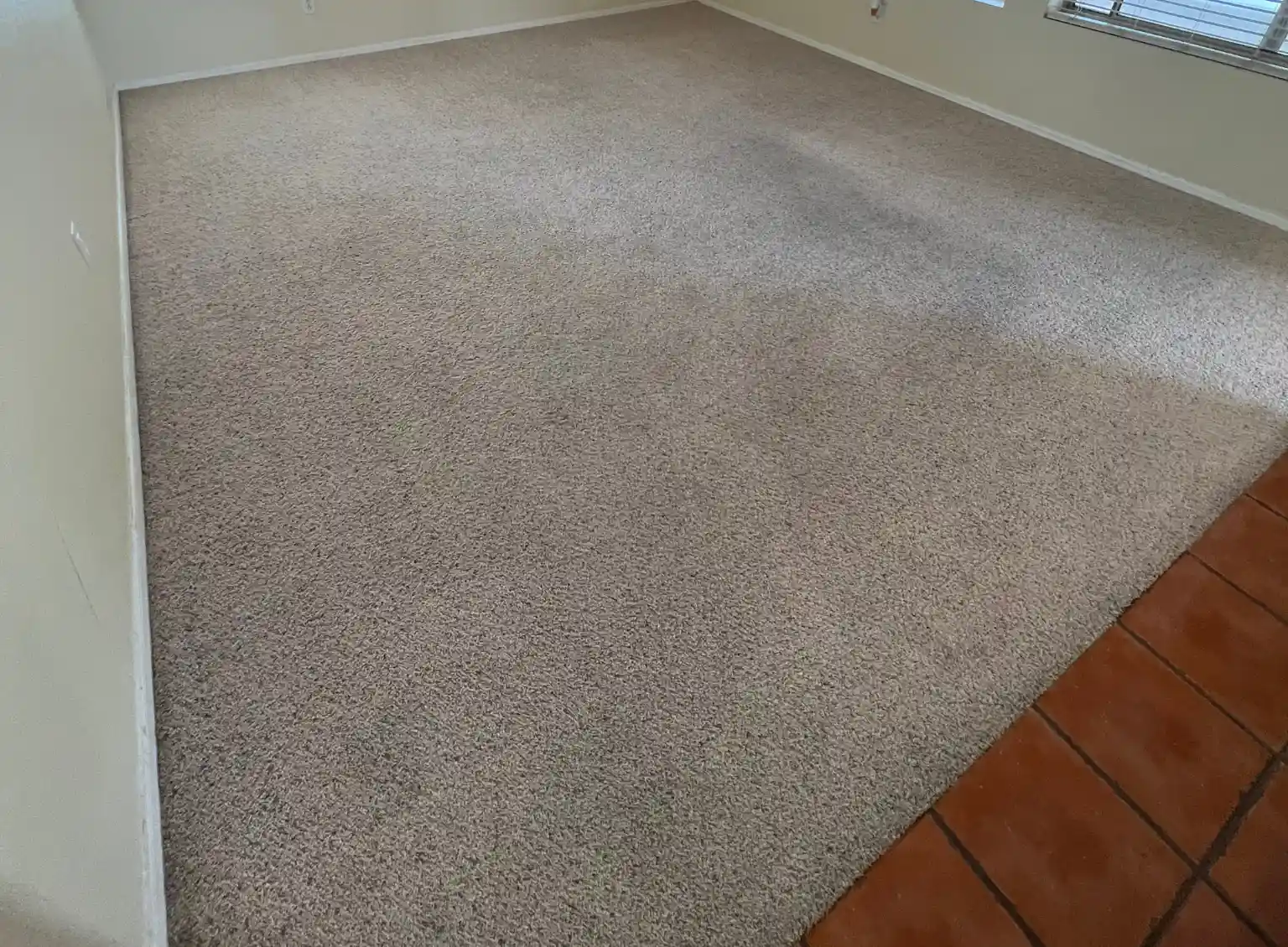 Carpet Cleaning