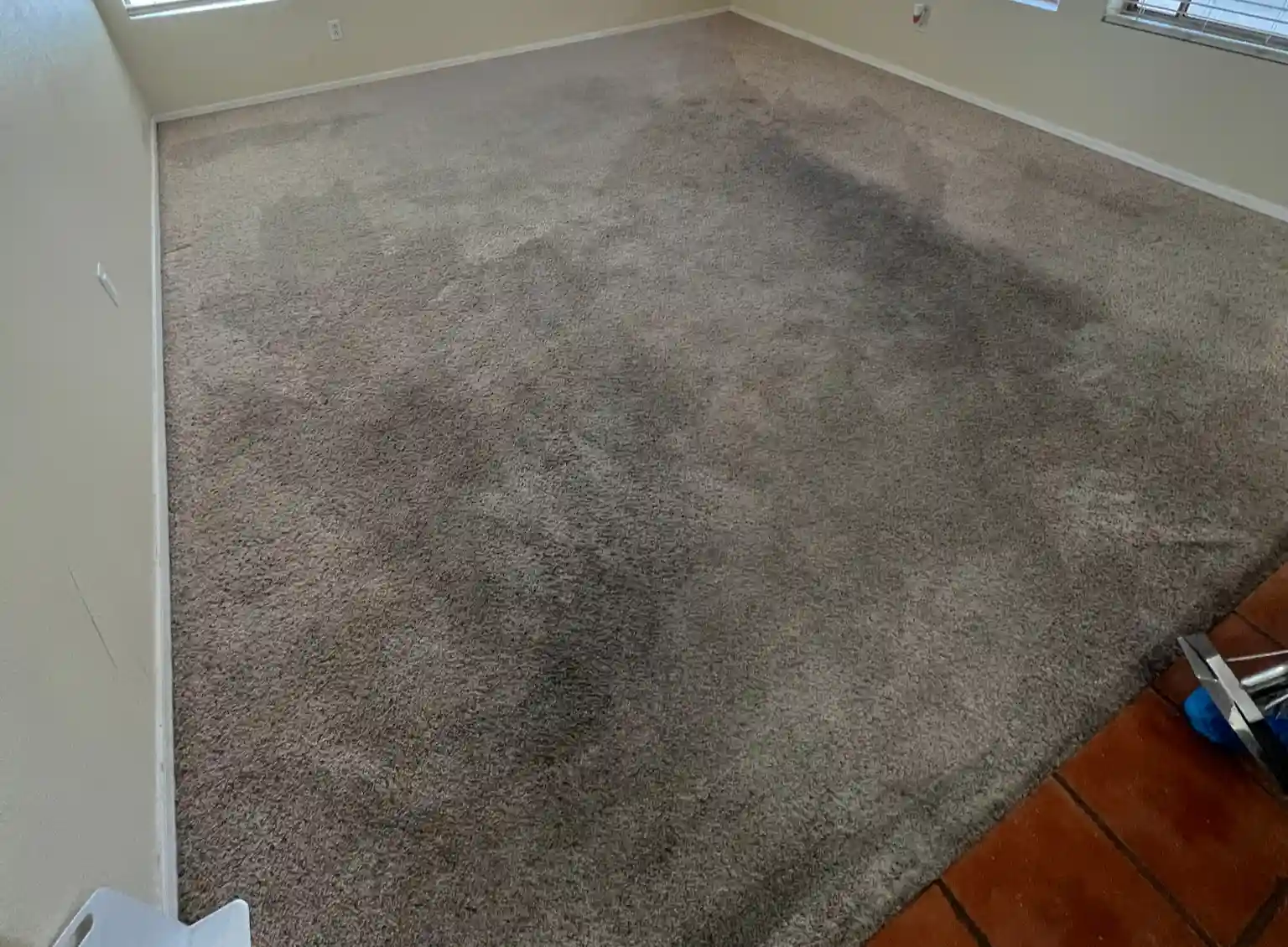 Carpet Cleaning
