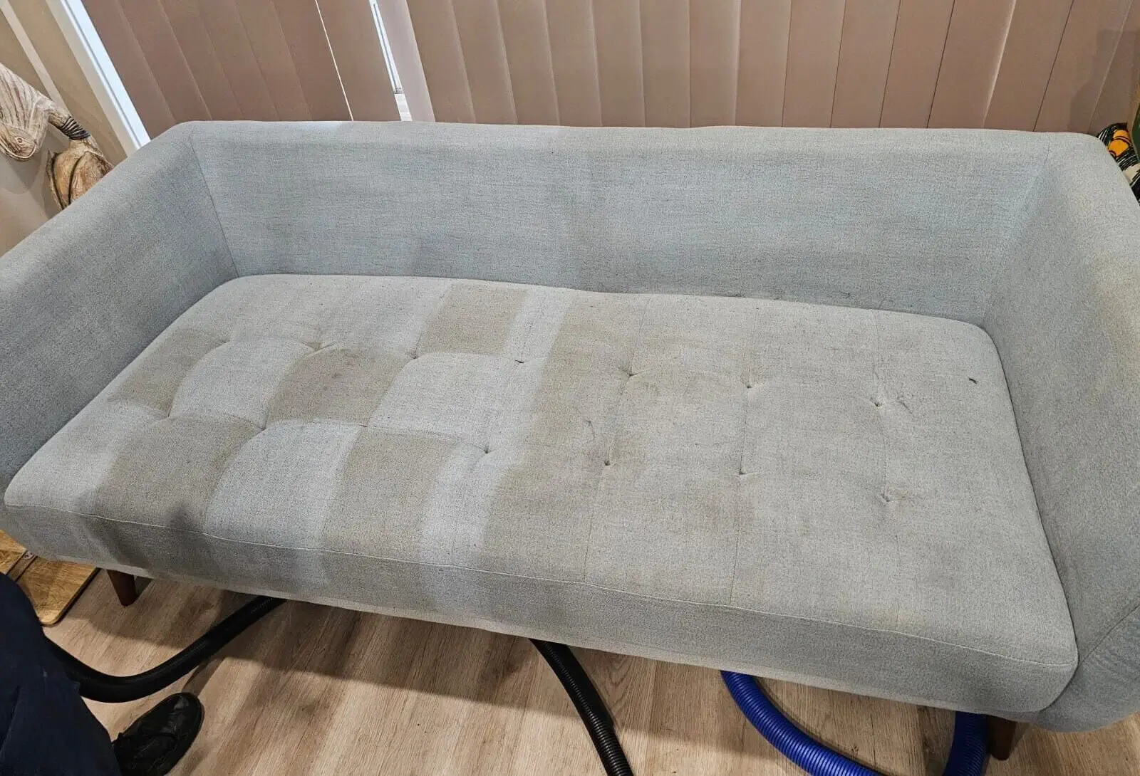 Upholstery and sofa steam cleaning in Sydney
