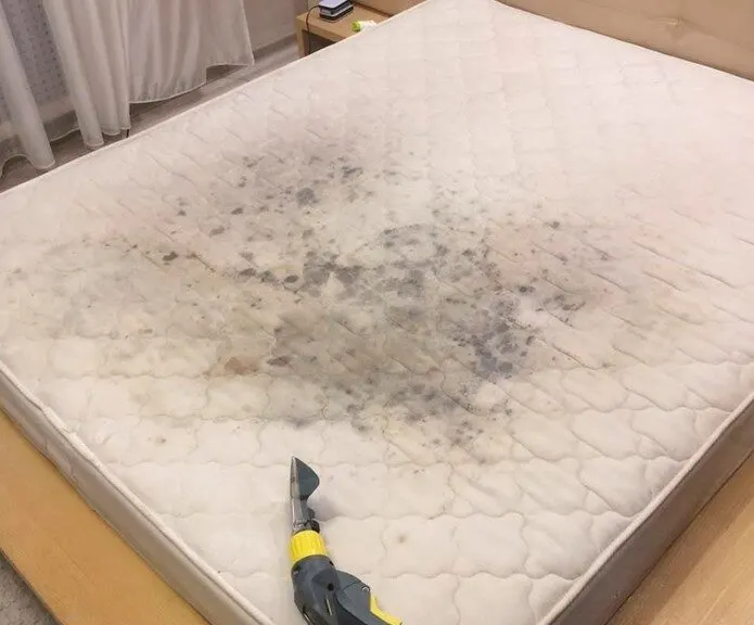 Mattress before and after steam cleaning — before