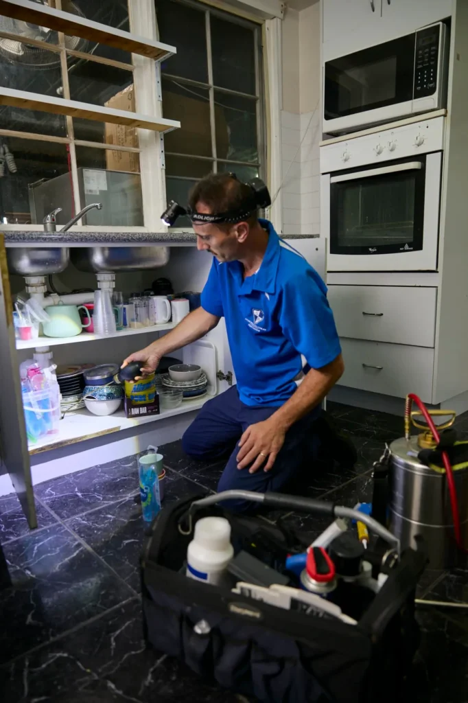 Cockroach Control Penrith