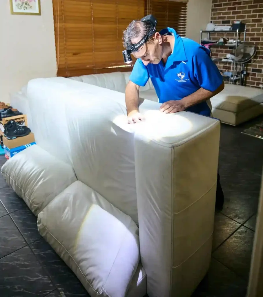 Bed bug treatment Sydney