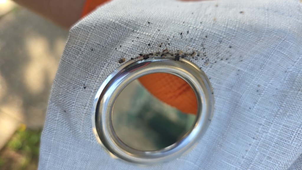 Bed bug fecal spotting on fabric around a grommet — signs of infestation