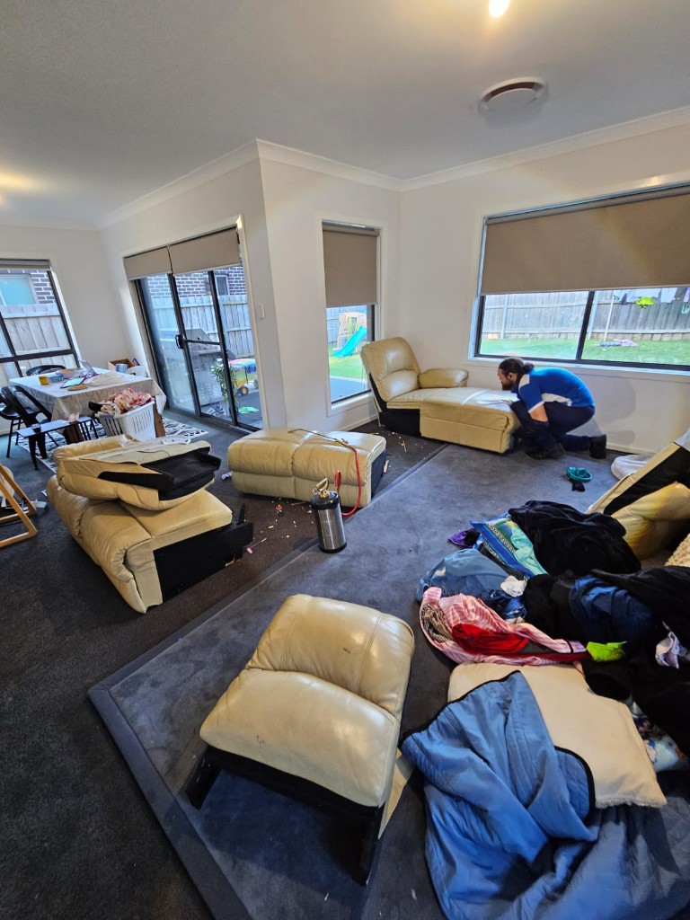 Sydney Pesties technician treating a living room for bed bugs