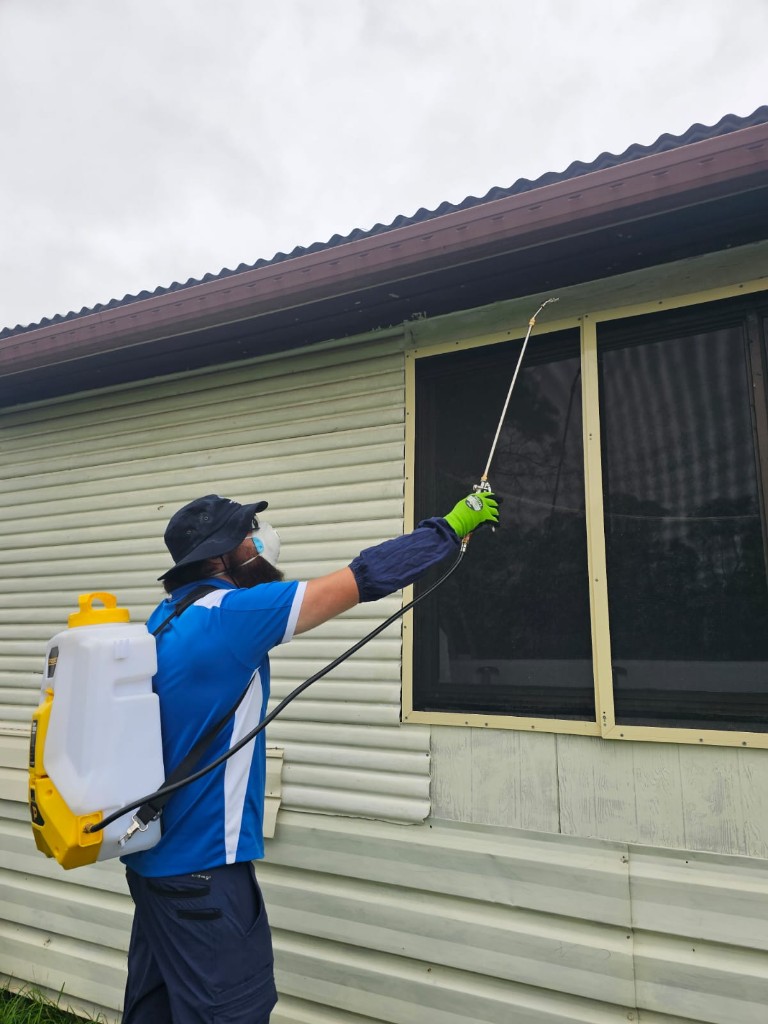 Sydney Pesties technician treating eaves and exterior for spiders